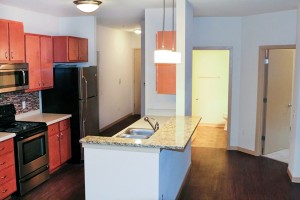 Parman Place - Kitchen