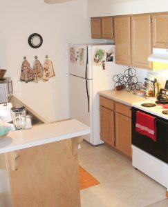 Small apartment kitchen